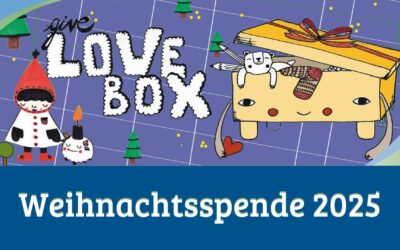 SYSTHEMIS spendet an Liebe im Karton e.V.